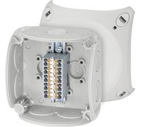Hensel 62000294 Boîte de jonction sans halogène, plombable, résistant aux intempéries (L x l) 93 mm x 93 mm 1 pc(s)
