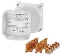 Hensel 62000419 Boîte de raccordement avec bornes à vis, sans halogène (L x l) 130 mm x 130 mm 1 pc(s)