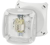 Hensel RK 0203 T Tableau de distribution 93 x 93 x 62 gris 1 pc(s)