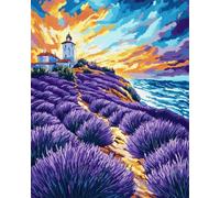 Henypt Canevas Broderie Point de Croix Kit Complet,Ferme de fleurs de lavande,Kit Broderie Point de Croix Compté Imprimé,Easy Set Loisirs CréAtifs Adulte Broderie,30x40cm