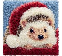 Henypt Diy Loquet Crochet Kit Complet Housse De Coussin,Petit Hérisson Portant Un Chapeau De Père Noël,Kits De Crochet Pour Débutants Adultes Ou Enfants,Artisanat Créatif,43X43Cm