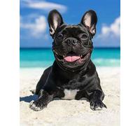 Henypt Kit Broderie Point De Croix Fleurs Imprimé Tissu De Grille, Bouledogue Français Sur La Plage 40 X 50 Cm Point De Croix Kit De Broderie 11Ct Diy Œuvres D'Art Faites À La Main Pour Adultes Déb