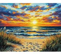 Henypt Kit Broderie Point de Croix Imprimé,vue du coucher de soleil sur la plage tropicale,Point de Croix Kit de Broderie 11CT DIY Artisanat D'art Faites à La Main pour Adultes Débutants,16x20in