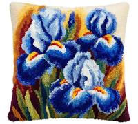 Henypt Kit Crochet De Verrouillage Tapis Iris Diy Broderie,Loquet Crochet Complet Housse De Coussin,Kit Fabrication Taie D'Oreiller Coussins Tapis,Motif Coloré Imprimé Fil Prédécoupé,43X4