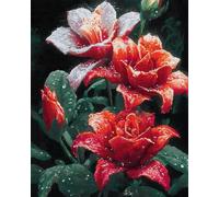 Henypt Kit De Broderie Perlée Roses Dans La Rosée 60X80Cm- Broderie De Perles Motif Fleur - Loisirs Créatifs Diy Pour Adultes & Adolescents