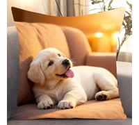 Henypt Kit De Point De Croix Estampé Avec Toile De Tapisserie Imprimée (45 × 45 Cm) -Chien Sur Le Canapé Kit De Coussin Au Point De Croix Estampé Pour Une Décoration Créative De La Maison Cross Sti