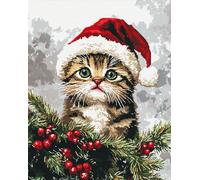 Henypt Kits de point de croix estampés,Chat portant un bonnet de Père Noël,Kits de canevas à motif - Kits de broderie artisanale pour adultes débutants cadeau,30x40cm