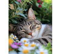 Henypt Point De Croix Kit Complet, Un Chat Dans Le Jardin 40X50Cm 11Ct Canevas Debutant Broderie Imprimé