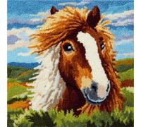 Henypt Set de Crochetage de Coussin cheval