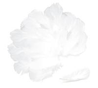 HEOUCH Environ 400 Pièces Petitesplumes, Plumes Loisirs Creatifs, Naturelles Plume Decoration pour Les Mariages et Les Projets Artisanaux Tableau des Décorations de Pâques et d (Blanc)
