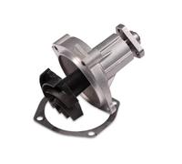 Pompe à eau HEPU P620