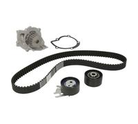 HEPU PK08010 Kit Distribution avec Pompe à Eau