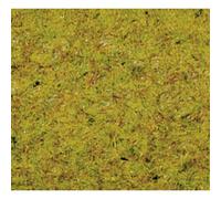 Herbage à répandre prairie d'été NOCH 50190 vert moyen 100 g