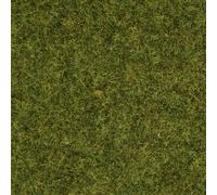 Herbage à répandre prairie NOCH 50220 prairie 100 g