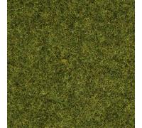 Herbage à répandre prairie NOCH 50220 prairie 100 g