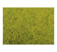 Herbage à répandre pré printanier NOCH 50210 vert clair 100 g