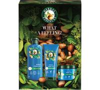 Herbal Essences Argan Oil Repair Gift Set coffret cadeau pour cheveux abîmés