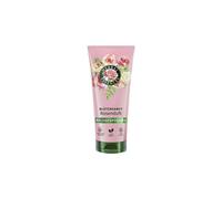 Herbal Essences Après-shampoing doux aux fleurs - Parfum rose - 250 ml - Des cheveux ternes aux cheveux soyeux et brillants - Avec essence de rose - Ingrédients d'origine naturelle - Végétalien