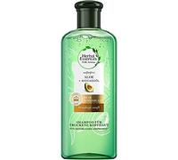 Herbal Essences Pure :Renew Shampooing sans sulfate pour cuir chevelu sec avec de l'aloe + de l'huile d'avocat 225 ml, sans silicone, Aloe Vera, Beauty, soin des cheveux secs, shampoing pour femme, sans expérimentation animale
