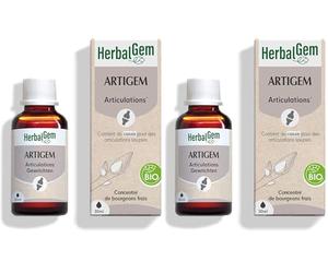 HerbalGem Artigem Bio Pour le maintien de la souplesse des articulations Complexe de Gemmothérapie Concentrée 30 ml (Lot de 2)