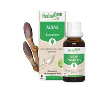 Herbalgem - bourgeon d'aulne - bio