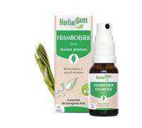 Herbalgem - bourgeon de framboisier - spray - bio