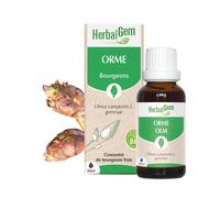 HerbalGem Macérât-mère Orme Bio – 30 ml
