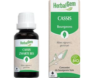 Herbalgem Cassis Bio Complément Alimentaire Extrait De Bourgeon Frais Articulations 30ml