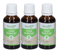 HERBALGEM - Cassis Bio Complément Alimentaire Extrait De Bourgeon Frais Pour Articulations Huile 3x30 ml