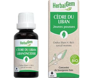 Herbalgem Cèdre Macérat Concentré De Bourgeons Bio Flacon 30ml