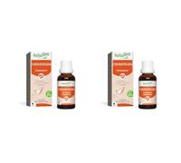HerbalGem Cholestegem Bio Aide à maîtriser le cholestérol Complexe de Gemmothérapie Concentrée 30 ml (Lot de 2)