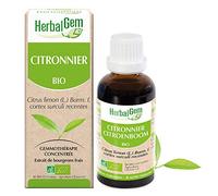 HerbalGem Citronnier Bio Macérat-Mère de Gemmothérapie Concentrée 30 ml