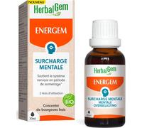 HERBALGEM - EnerGem Surcharge Mentale Bio - Surmenage et Résistance Mentale - Complément Alimentaire Gemmothérapie Concentrée - 30 ml