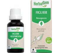 HERBALGEM - Figuier Bio Complément Alimentaire Extrait De Bourgeon Frais Pour Digestion 30 ml Goutte(S)