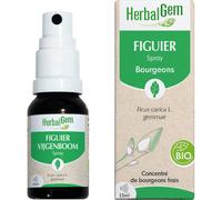 Herbalgem Figuier Bio Complément Alimentaire Extrait De Bourgeon Frais Pour Digestion Flacon 15ml