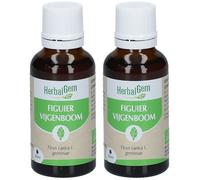 HerbalGem Figuier Bio DUO Huile 2x30 ml