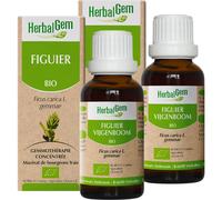 HerbalGem Figuier Bio Gemmothérapie Concentrée Bourgeons Frais 2x30ml Promo Pack