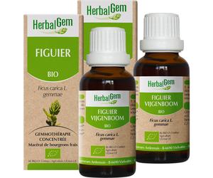 HerbalGem Figuier Bio Gemmothérapie Concentrée Bourgeons Frais 2x30ml Promo Pack