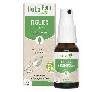 HerbalGem Complément alimentaire spray Figuier Bio Extrait de bourgeon frais 15 ml
