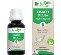 HerbalGem Extrait de bourgeon Ginkgo Biloba Bio – Circulation, Mémoire et Concentration – 30 ml
