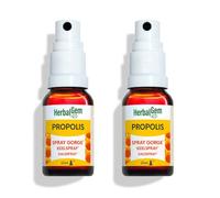 HerbalGem Kit Propolis Large Spectre Spray + 24 Gommes