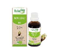 Herbalgem Bouleau Macérât-Mère Concentré Bio Flacon 30ml