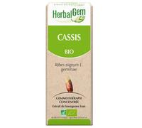 Herbalgem Macérat Concentré Cassis Bio 30ml
