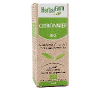 Herbalgem Citronnier Macérât-Mère Concentré Bio Flacon 30ml