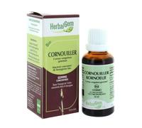 Herbalgem Macérat Concentré Cornouiller Bio 30ml