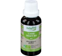 Herbalgem Cassis Macérât-Mère Concentré Bio 30ml