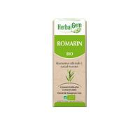 HerbalGem Complément alimentaire Romarin Bio – Macérât-mère gemmothérapie – Digestion & Détox – 30 ml