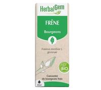 Herbalgem Macérat Concentré Noyer Bio 30ml