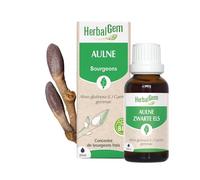 HerbalGem Complément alimentaire Aulne Bio – Macérat concentré (extrait de bourgeon) 30 ml