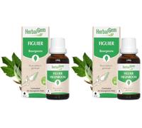 HerbalGem Macérât-Mère Figuier Bio 30 ml (Lot de 2)